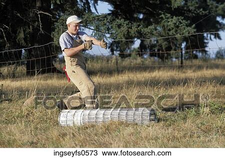 Young Man Laying Fence View Large Photo Image Stock Image - Young Man Laying Fence. Fotosearch