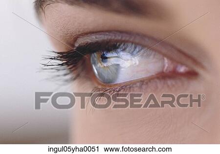 Close-up of a person's eye View Large Photo Image Stock Image - Close-up of a person's eye. Fotosearch
