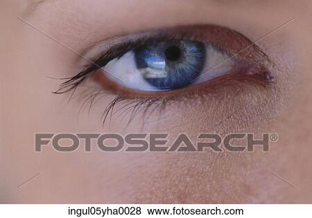 Close-up of a person's eye View Large Photo Image Stock Photo - Close-up of a person's eye. Fotosearch