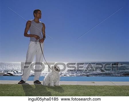 Young man standing holding a dog's leash View Large Photo Image Stock Photography - Young man standing holding a dog's leash. Fotosearch