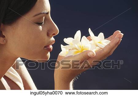 Young woman holding flowers View Large Photo Image Stock Image - Young woman holding flowers. Fotosearch