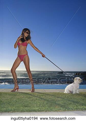 Young woman standing on a lawn holding a dog's leash View Large Photo Image Picture - Young woman standing on a lawn holding a dog's leash. Fotosearch