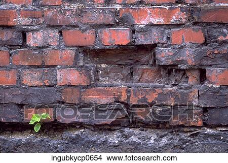 Close-up of a brick wall View Large Photo Image Picture - Close-up of a brick wall. Fotosearch