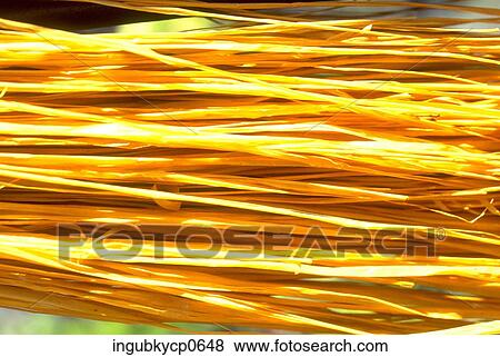 Close-up of a bundle of straw View Large Photo Image Stock Photo - Close-up of a bundle of straw. Fotosearch