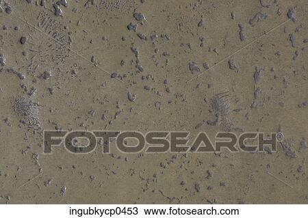 Close-up of a concrete wall View Large Photo Image Stock Image - Close-up of a concrete wall. Fotosearch