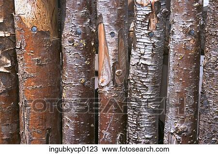 Close-up of a fence of wooden logs View Large Photo Image Stock Image - Close-up of a fence of wooden logs. Fotosearch
