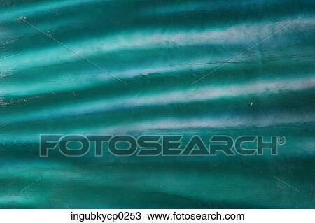 Stock Image - Close-up of a green grooved surface. Fotosearch
