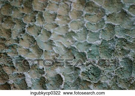 Close-up of a painted concrete surface View Large Photo Image Stock Image - Close-up of a painted concrete surface. Fotosearch