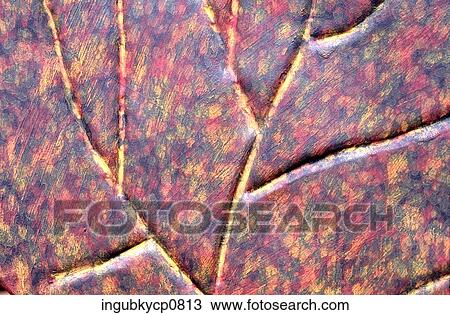 Close-up of a pattern carved in stone View Large Photo Image Stock Image - Close-up of a pattern carved in stone. Fotosearch
