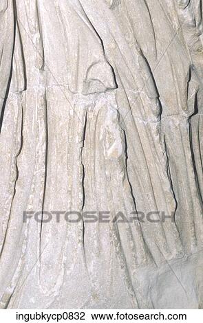 Close-up of a pattern on a cement surface View Large Photo Image Stock Image - Close-up of a pattern on a cement surface. Fotosearch