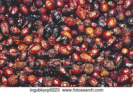 Close-up of a pile of dates View Large Photo Image Stock Image - Close-up of a pile of dates. Fotosearch