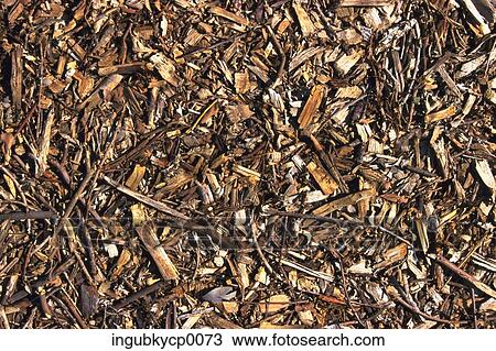 Stock Image - Close-up of a pile of dry leaves. Fotosearch