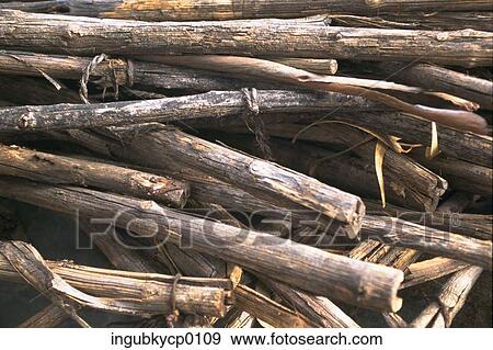 Close-up of a pile of firewood View Large Photo Image Stock Photo - Close-up of a pile of firewood. Fotosearch