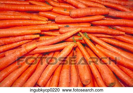 Close-up of a pile of fresh carrots View Large Photo Image Stock Image - Close-up of a pile of fresh carrots. Fotosearch