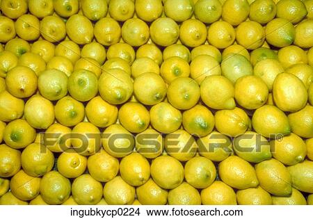 Close-up of a pile of fresh lemons View Large Photo Image Picture - Close-up of a pile of fresh lemons. Fotosearch