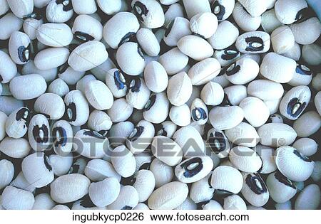 Stock Photograph - Close-up of a pile of white beans. Fotosearch