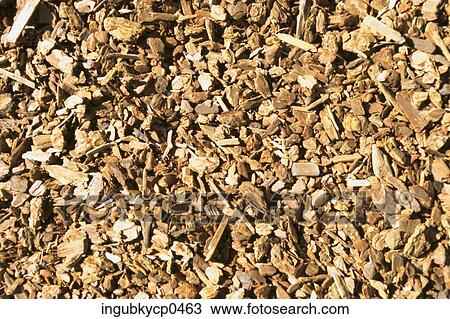 Close-up of a pile of wood piece View Large Photo Image Stock Image - Close-up of a pile of wood piece. Fotosearch