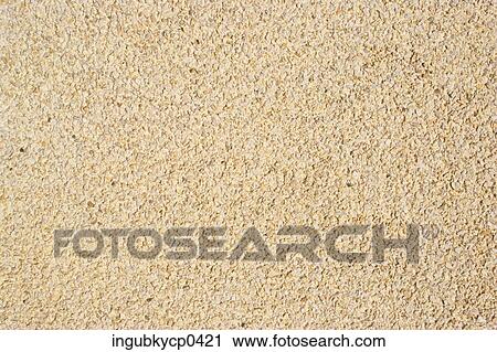 Close-up of a stucco surface View Large Photo Image Stock Image - Close-up of a stucco surface. Fotosearch