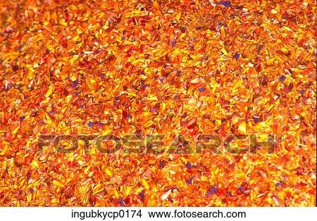 Picture - Close-up of a surface decorated with flower petals. Fotosearch
