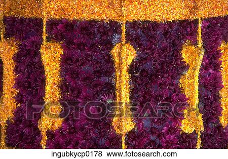 Close-up of a surface decorated with flower petals View Large Photo Image Stock Photo - Close-up of a surface decorated with flower petals. Fotosearch