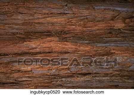 Close-up of a wooden surface View Large Photo Image Stock Image - Close-up of a wooden surface. Fotosearch