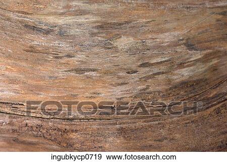 Stock Photo - Close-up of a wooden surface. Fotosearch