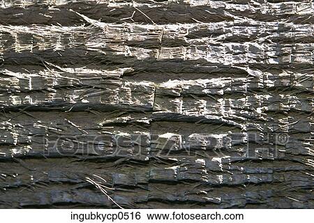 Close-up of a wooden surface View Large Photo Image Stock Photograph - Close-up of a wooden surface. Fotosearch