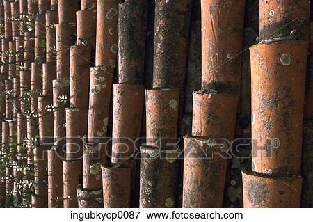 Stock Photo - Close-up of an arrangement of shingles. Fotosearch