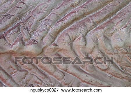 Stock Photo - Close-up of artificial dinosaur hide. Fotosearch