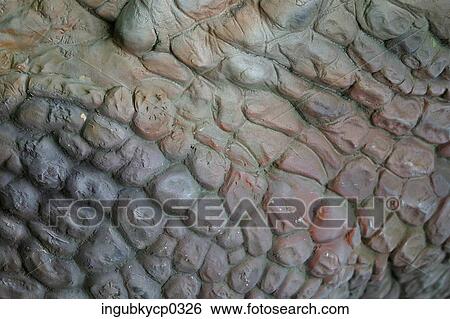 Stock Photograph - Close-up of artificial dinosaur hide. Fotosearch