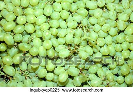 Close-up of bunches of green grapes View Large Photo Image Stock Photography - Close-up of bunches of green grapes. Fotosearch