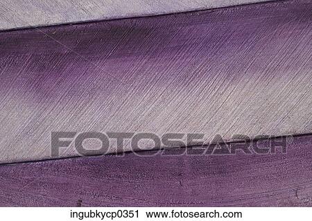 Close-up of painted planks of wood View Large Photo Image Stock Image - Close-up of painted planks of wood. Fotosearch