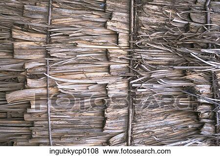 Close-up of the exterior of a hut View Large Photo Image Stock Photo - Close-up of the exterior of a hut. Fotosearch