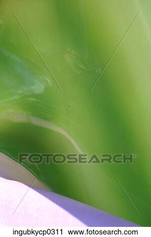Close-up of the painted surface of a wall View Large Photo Image Stock Image - Close-up of the painted surface of a wall. Fotosearch