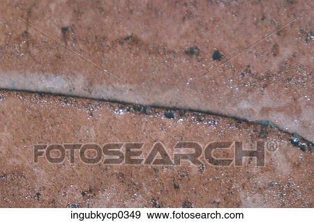 Close-up of the painted surface of a wall View Large Photo Image Stock Photo - Close-up of the painted surface of a wall. Fotosearch