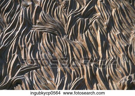 Picture - Close-up of the surface of a concrete wall. Fotosearch