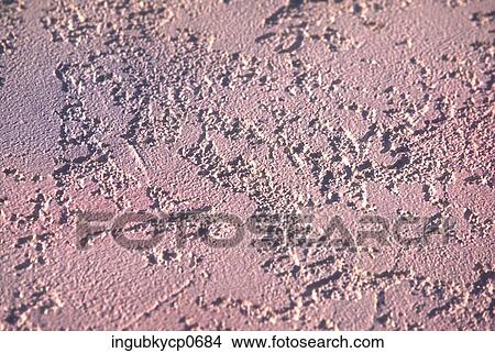 Close-up of the surface of a concrete wall View Large Photo Image Picture - Close-up of the surface of a concrete wall. Fotosearch
