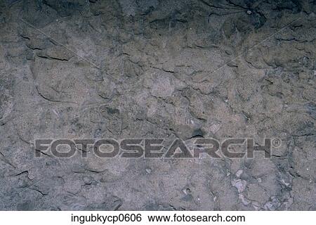 Stock Photograph - Close-up of the surface of a concrete wall. Fotosearch