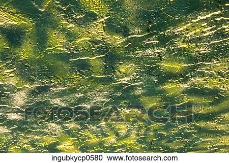Close-up of the surface of a painted wall View Large Photo Image Stock Image - Close-up of the surface of a painted wall. Fotosearch