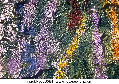 Close-up of the surface of a painted wall View Large Photo Image Stock Image - Close-up of the surface of a painted wall. Fotosearch