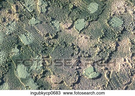 Close-up of the surface of a painted wall View Large Photo Image Stock Image - Close-up of the surface of a painted wall. Fotosearch