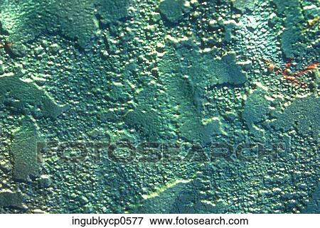 Close-up of the surface of a painted wall View Large Photo Image Stock Photo - Close-up of the surface of a painted wall. Fotosearch