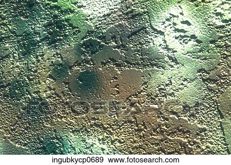 Close-up of the surface of a painted wall View Large Photo Image Stock Photo - Close-up of the surface of a painted wall. Fotosearch
