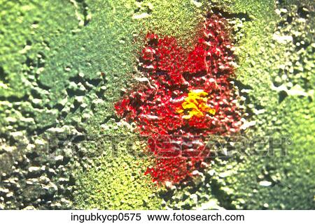 Stock Photography - Close-up of the surface of a painted wall. Fotosearch