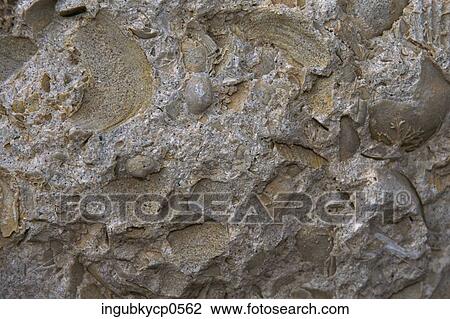 Stock Image - Close-up of the surface of a rock formation. Fotosearch