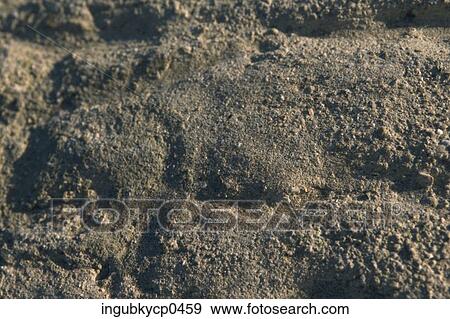Close-up of the surface of a rock View Large Photo Image Stock Photo - Close-up of the surface of a rock. Fotosearch