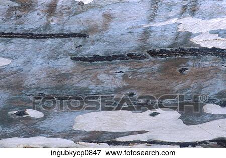 Stock Photo - Close-up of the surface of a rock formation. Fotosearch