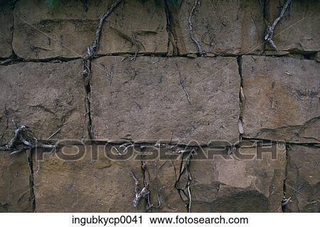 Stock Image - Close-up of the surface of a wall. Fotosearch