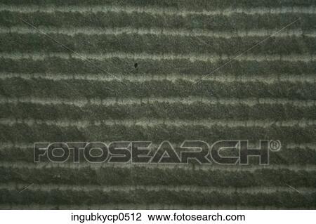 Close-up of the surface of a wall View Large Photo Image Stock Image - Close-up of the surface of a wall. Fotosearch