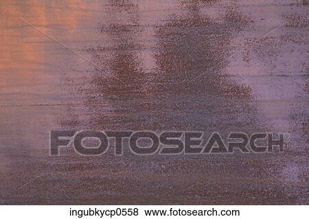 Close-up of the surface of a wall View Large Photo Image Stock Photo - Close-up of the surface of a wall. Fotosearch